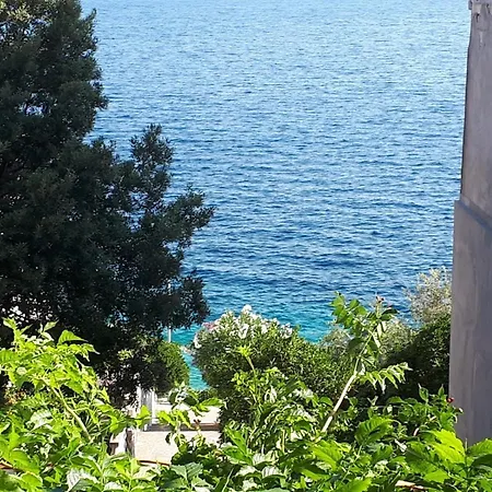 By The Sea Prigradica, Korcula - 16125 아파트 Blato (Korcula)